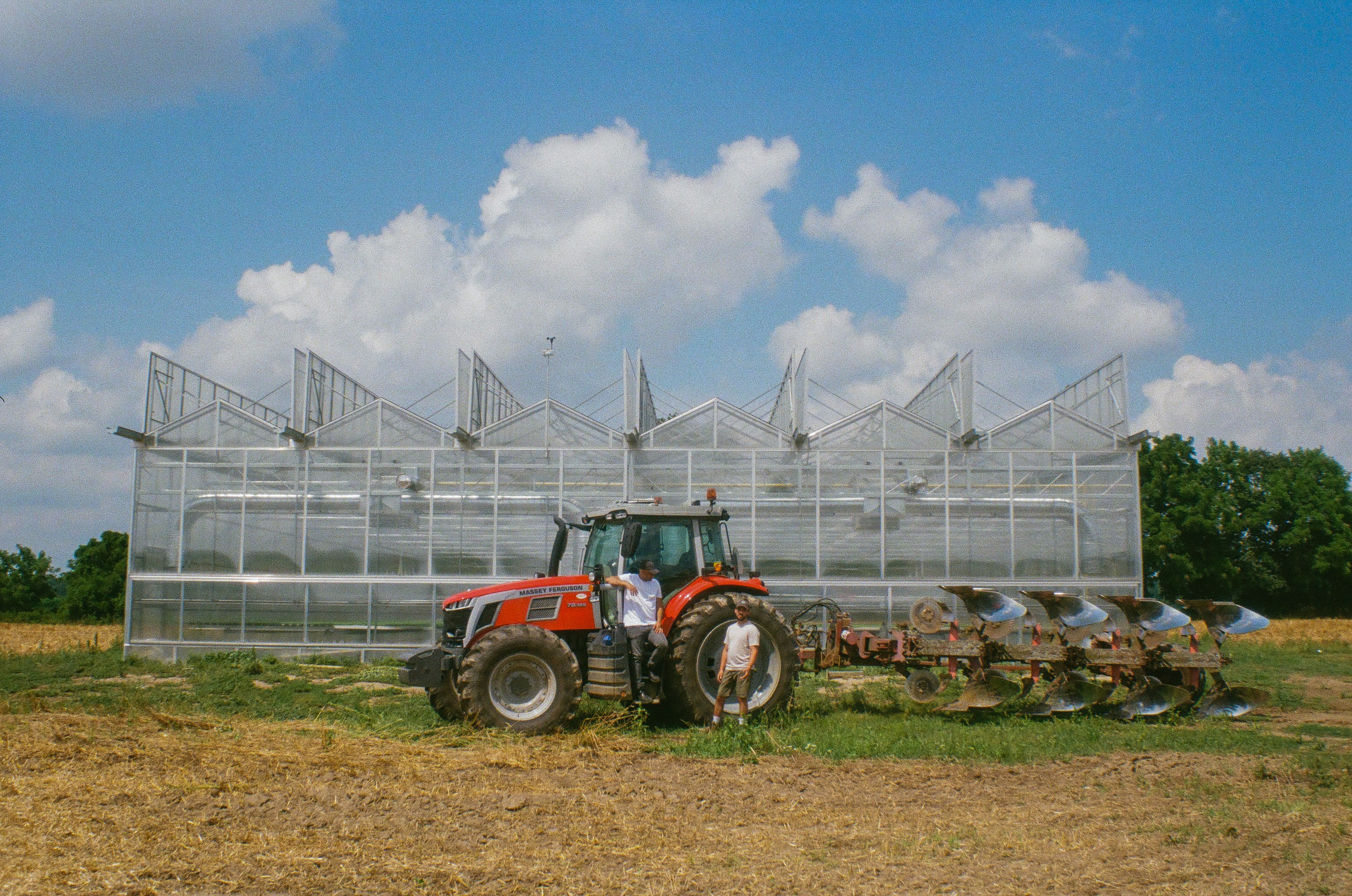 Image of a blue butterfly