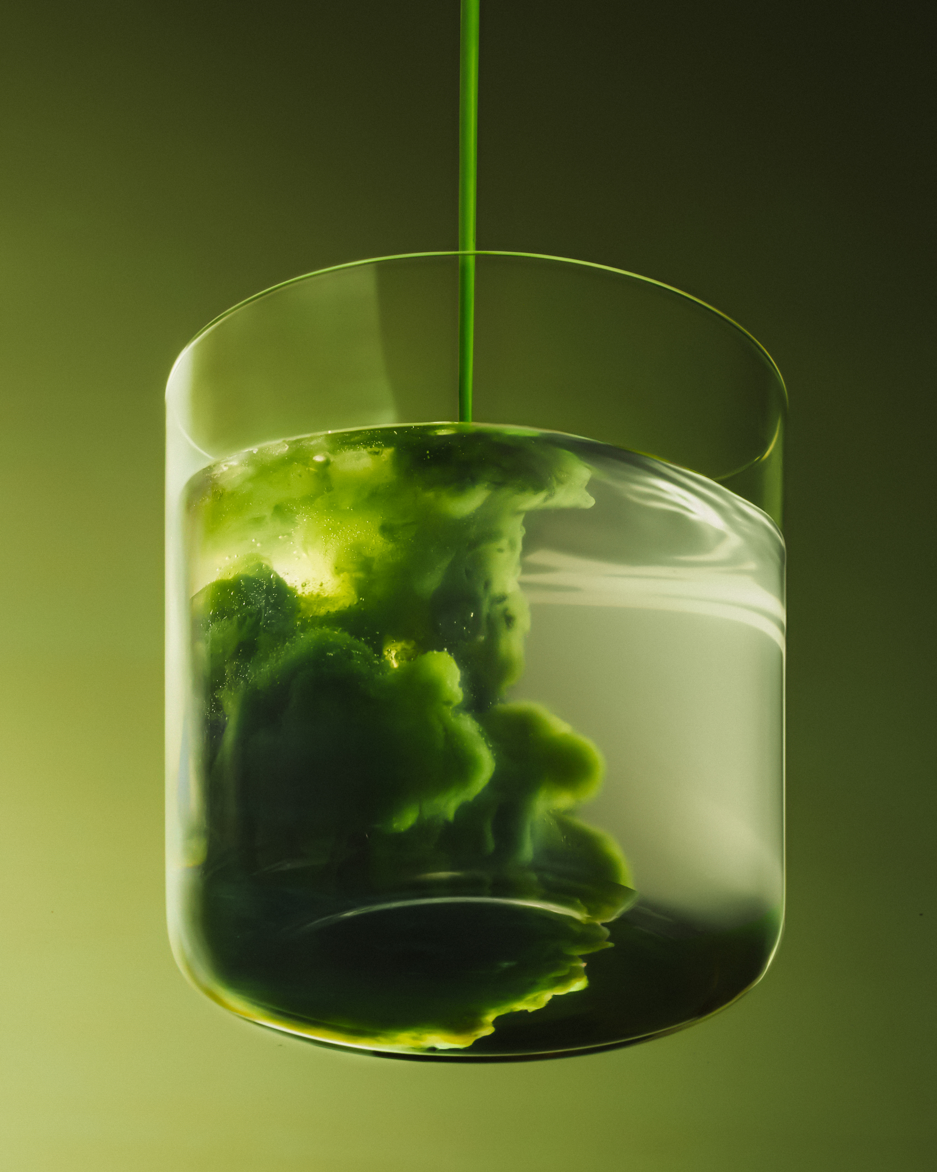 Illustration of seashells